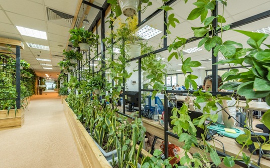 Thiết kế nội thất văn phòng xanh tràn đầy năng lượng tạo hứng khởi làm việc