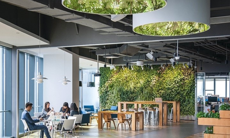 10+ mẫu bố trí nội thất văn phòng đẹp hiện đại năm 2020